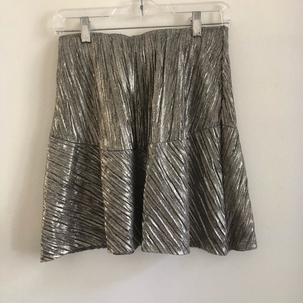 silver skirt